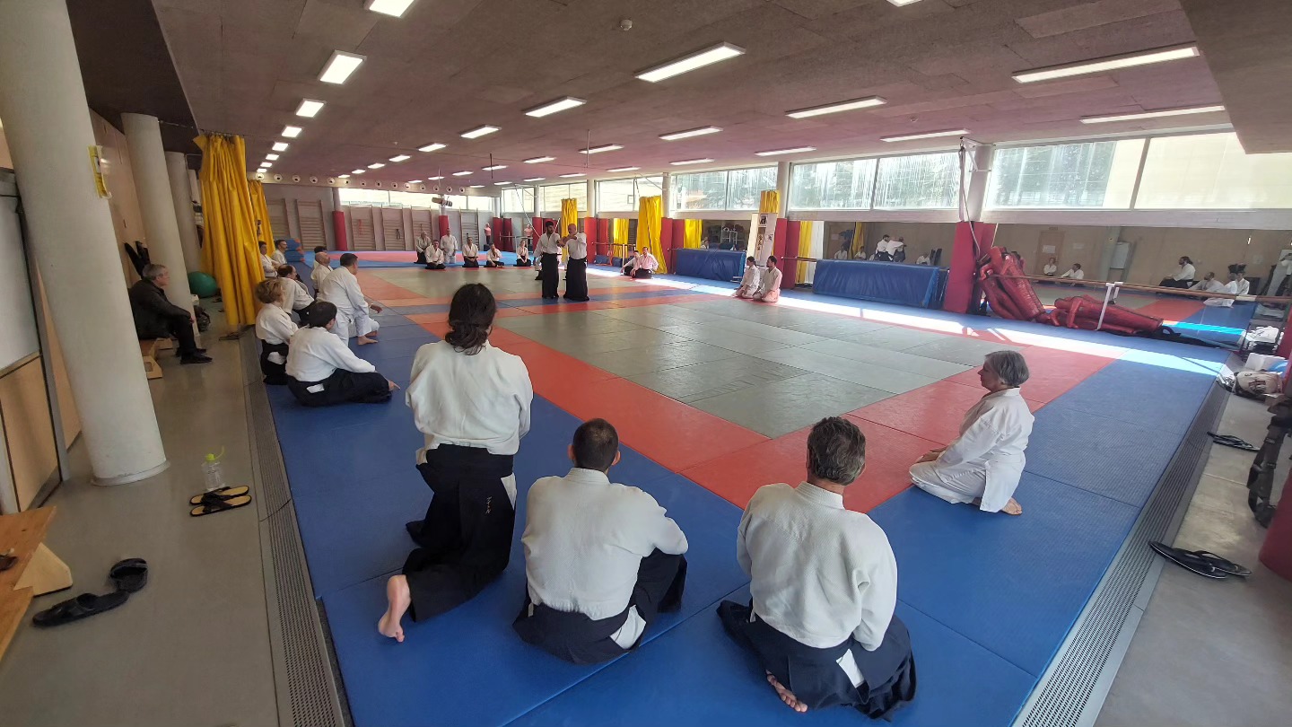 ENCUENTRO DE AIKIDO EN PAMPLONA 05-04-2025